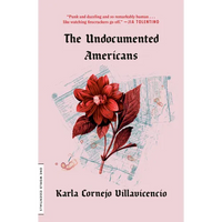 The Undocumented Americans - Paperback