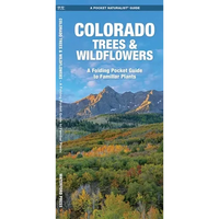 Colorado Trees & Wildflowers: An Introduction to Familiar Species