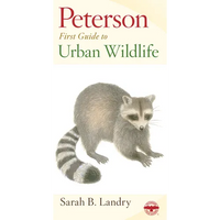 Peterson First Guide to Urban Wildlife - Paperback