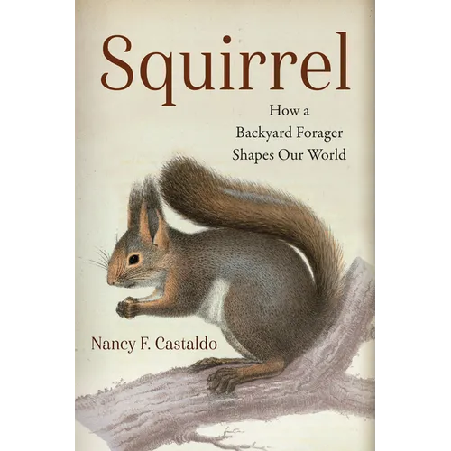 Squirrel: How a Backyard Forager Shapes Our World