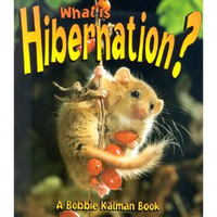 What is Hibernation? - Paperback