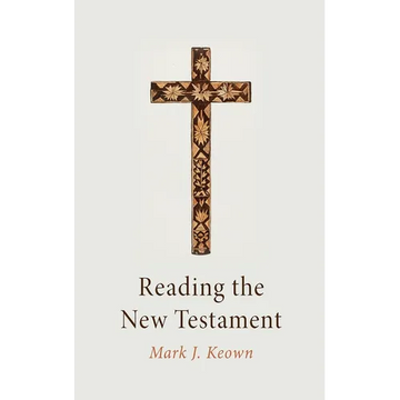 Reading the New Testament - Paperback