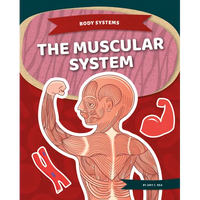 Muscular System - Library Binding