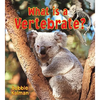 What Is a Vertebrate? - Paperback