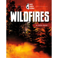Wildfires - Paperback