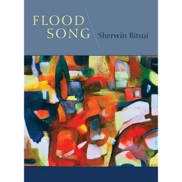 Flood Song - Paperback