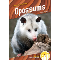 Opossums - Library Binding