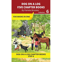 Five Chapter Books 6: Decodable Series for Students Learning to Read. For Developing Readers and Students with Dyslexia. (Step 6-Exception words conta - Paperback