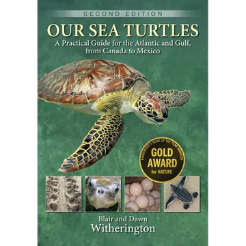 Our Sea Turtles: A Practical Guide for the Atlantic and Gulf, from Canada to Mexico - Paperback