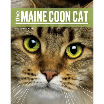 The Maine Coon Cat - Paperback