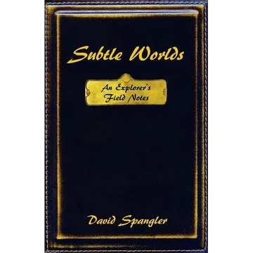 Subtle Worlds: An Explorer's Field Notes - Paperback
