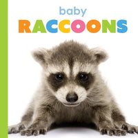 Baby Raccoons - Library Binding