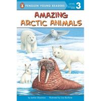 Amazing Arctic Animals - Paperback