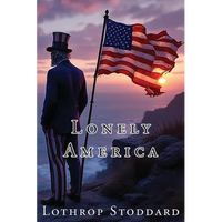Lonely America - Paperback
