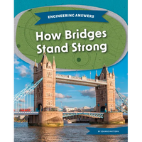 How Bridges Stand Strong - Library Binding