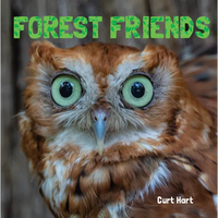 Forest Friends - Paperback