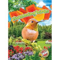 Hummingbirds - Library Binding