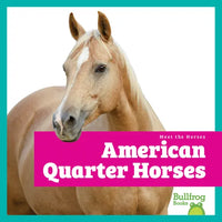 American Quarter Horses - Paperback