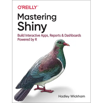 Mastering Shiny: Build Interactive Apps, Reports, and Dashboards Powered by R - Paperback
