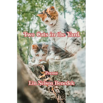Two Cats in the Yard - Paperback