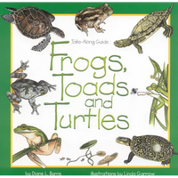 Frogs, Toads & Turtles - Paperback
