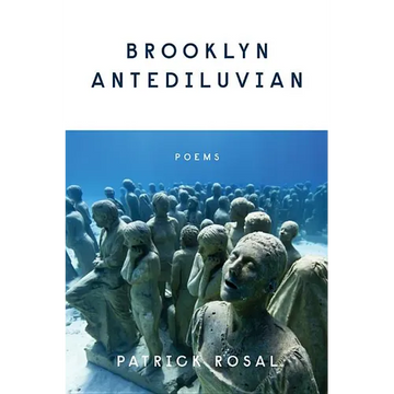 Brooklyn Antediluvian: Poems - Paperback