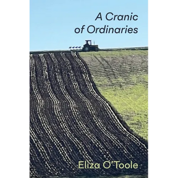 A Cranic of Ordinaries - Paperback