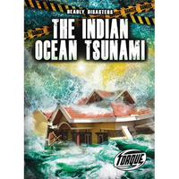 The Indian Ocean Tsunami - Library Binding
