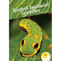 Spicebush Swallowtail Caterpillars - Library Binding