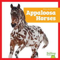 Appaloosa Horses - Paperback