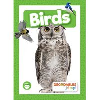 Birds - Paperback
