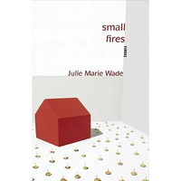 Small Fires - Paperback