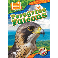 Peregrine Falcons - Library Binding