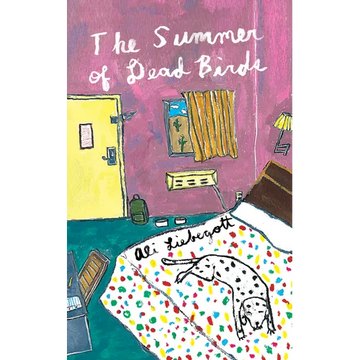 The Summer of Dead Birds - Paperback