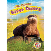 River Otters - Library Binding