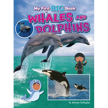 My First Big Book of Whales and Dolphins - Paperback