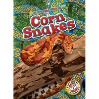 Corn Snakes - Library Binding
