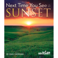 Next Time You See a Sunset - Paperback
