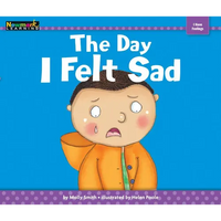 The Day I Felt Sad - Paperback