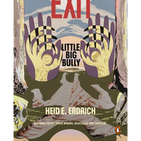 Little Big Bully - Paperback