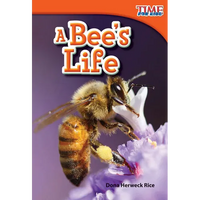 A Bee's Life - Paperback