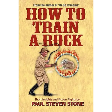 How To Train A Rock - Paperback