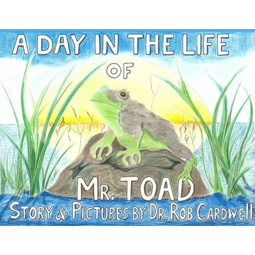 A Day in the Life of Mr. Toad - Paperback