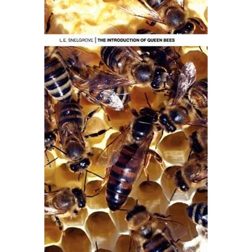 The Introduction of Queen Bees - Paperback