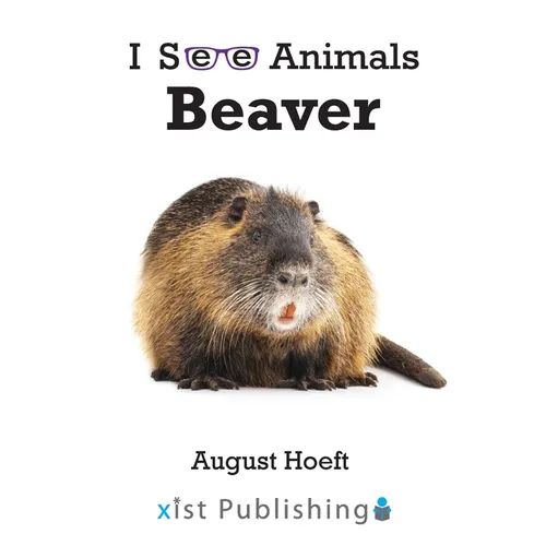 Beaver