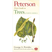 Peterson First Guide to Trees - Paperback