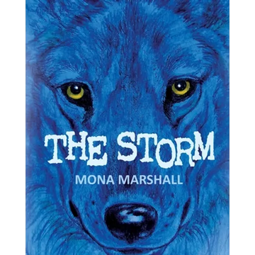 The Storm - Paperback