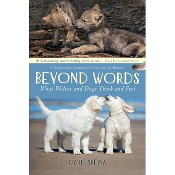 Beyond Words: What Wolves and Dogs Think and Feel (a Young Reader's Adaptation) - Paperback